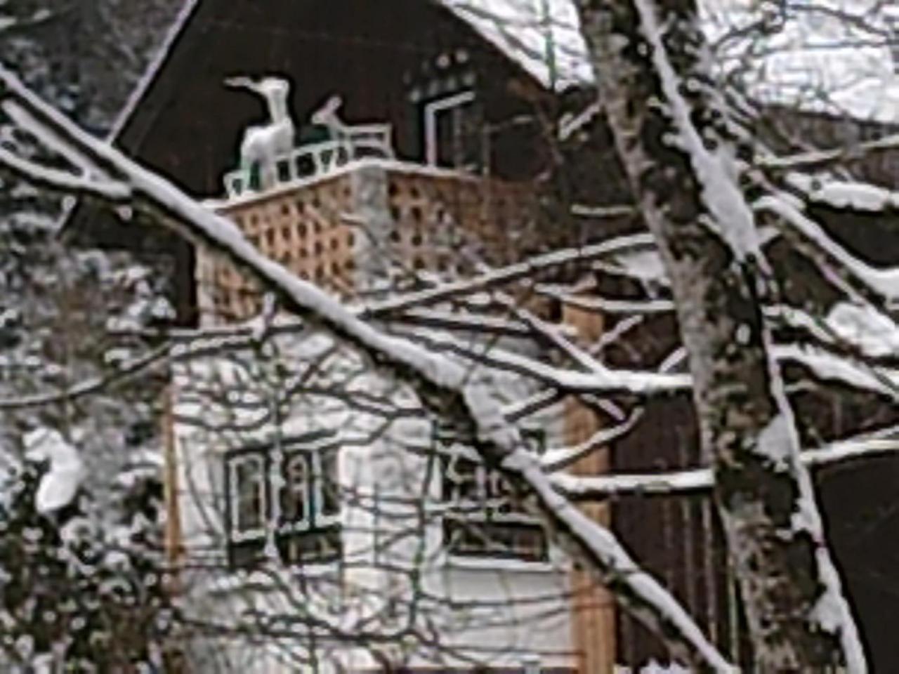 Georges Rast Villa Altaussee Exterior photo